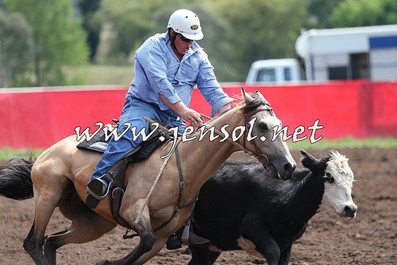 NimmitabelCampdraft2015_1209