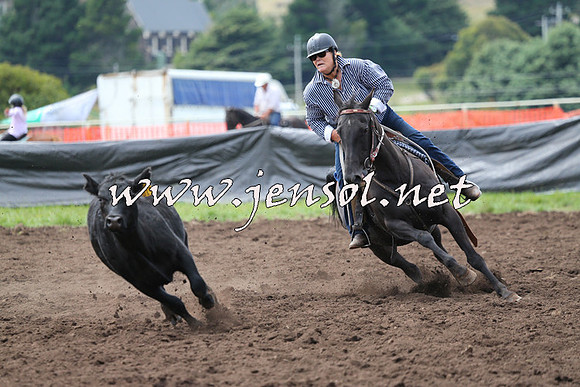 NimmitabelCampdraft2015_1262