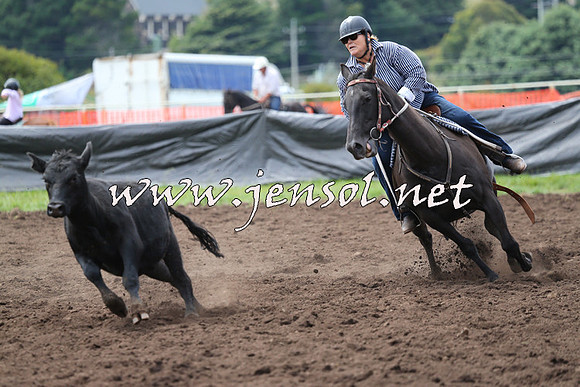 NimmitabelCampdraft2015_1267