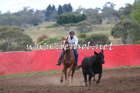 NimmitabelCampdraft2015_1714