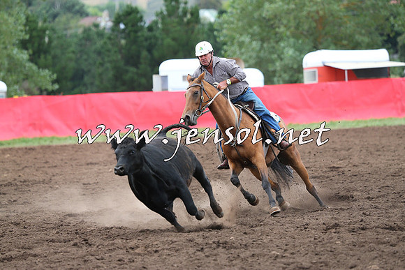 NimmitabelCampdraft2015_1708