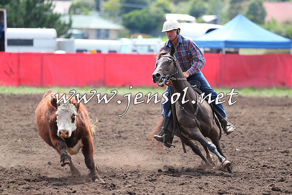 NimmitabelCampdraft2015_1164