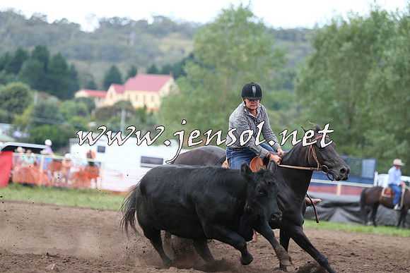 NimmitabelCampdraft2015_1569