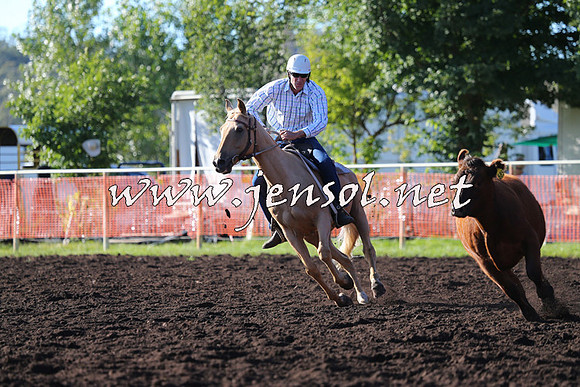 NimmitabelCampdraft2015_1075