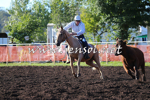 NimmitabelCampdraft2015_1076