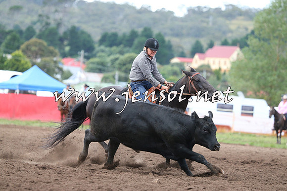NimmitabelCampdraft2015_1561
