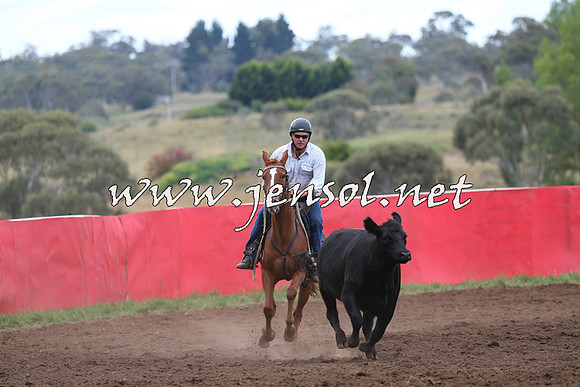 NimmitabelCampdraft2015_1715