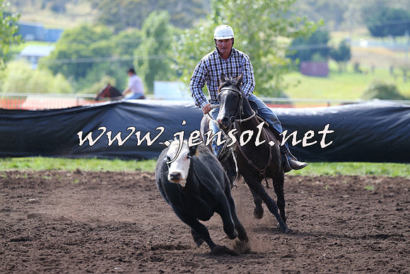 NimmitabelCampdraft2015_1118