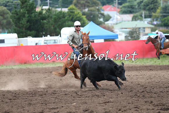 NimmitabelCampdraft2015_1665