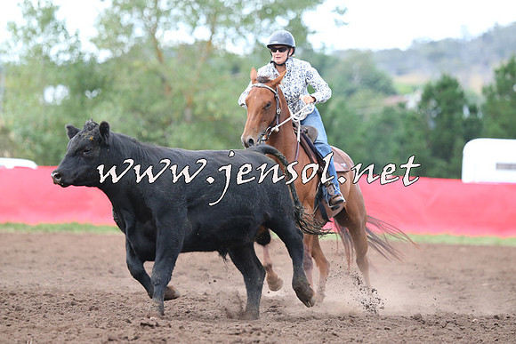 NimmitabelCampdraft2015_1528