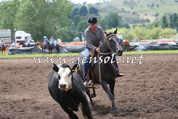 NimmitabelCampdraft2015_1280