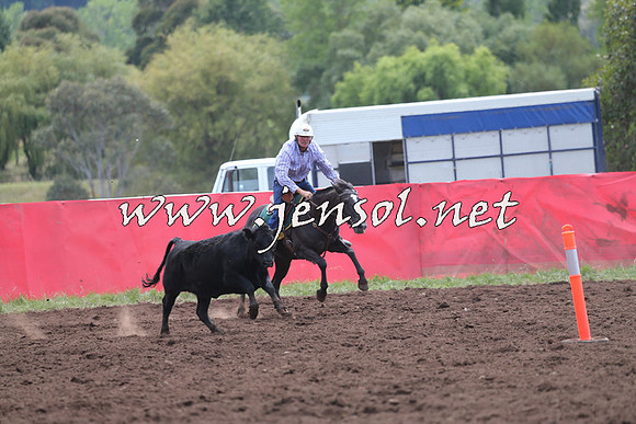 NimmitabelCampdraft2015_1289