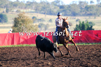 NimmitabelCampdraft2015_1020