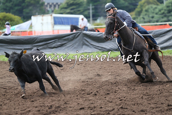 NimmitabelCampdraft2015_1266