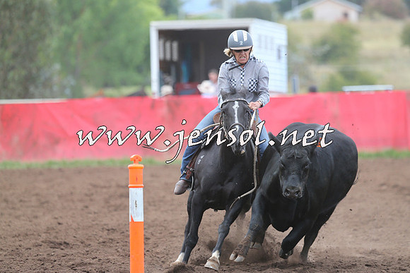 NimmitabelCampdraft2015_1634