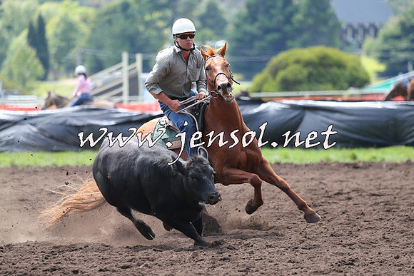 NimmitabelCampdraft2015_1175
