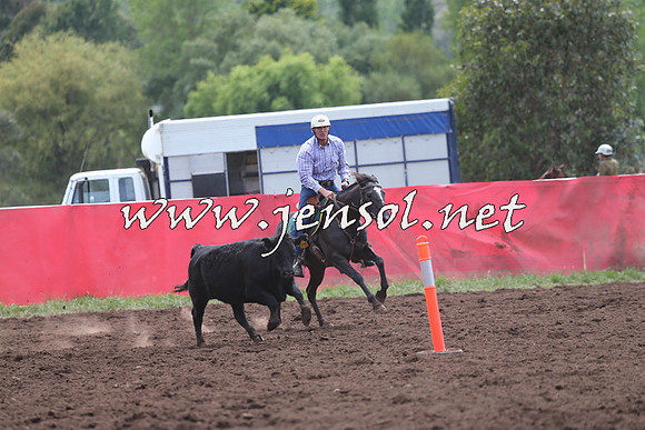 NimmitabelCampdraft2015_1290