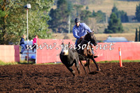 NimmitabelCampdraft2015_1008