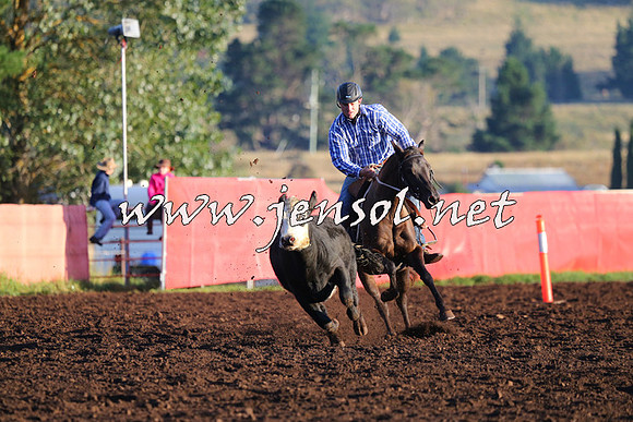 NimmitabelCampdraft2015_1008