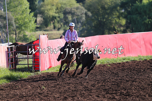 NimmitabelCampdraft2015_1067