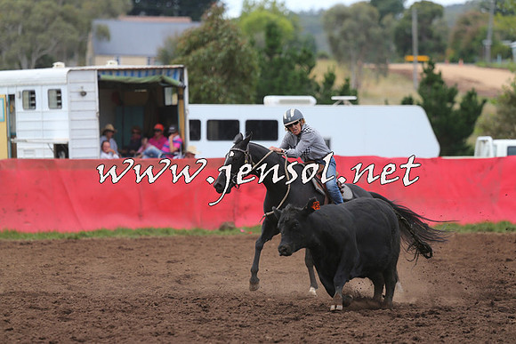 NimmitabelCampdraft2015_1626