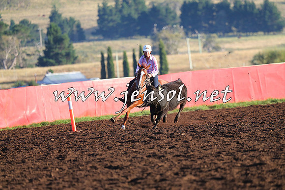 NimmitabelCampdraft2015_1037