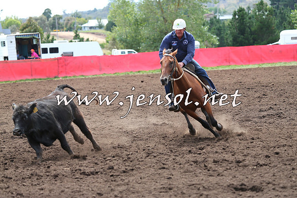 NimmitabelCampdraft2015_1295
