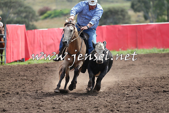 NimmitabelCampdraft2015_1204