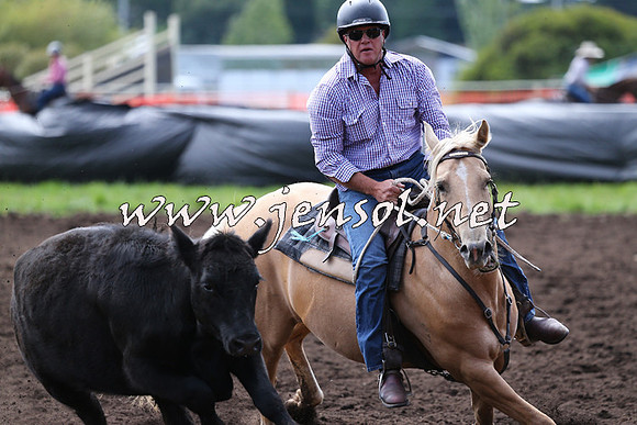 NimmitabelCampdraft2015_1231