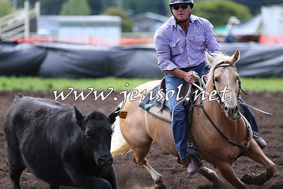 NimmitabelCampdraft2015_1232