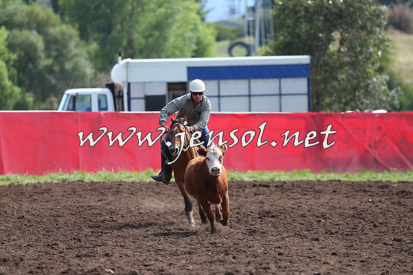 NimmitabelCampdraft2015_1138