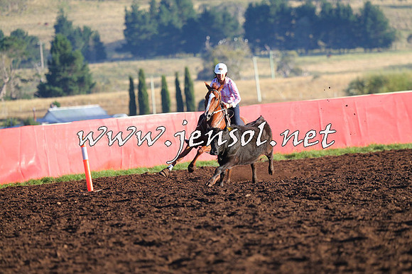 NimmitabelCampdraft2015_1038