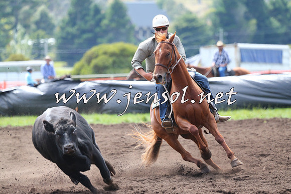 NimmitabelCampdraft2015_1168