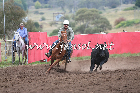 NimmitabelCampdraft2015_1661