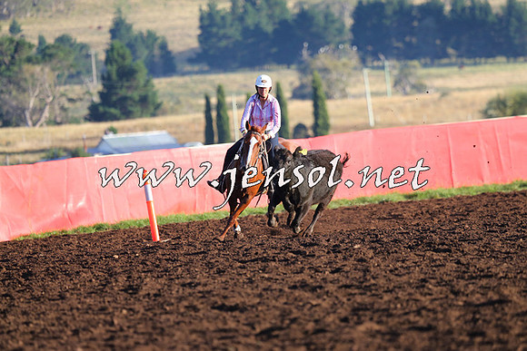 NimmitabelCampdraft2015_1039
