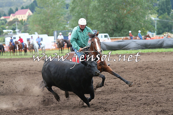 NimmitabelCampdraft2015_1683
