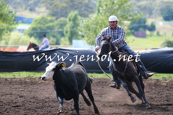 NimmitabelCampdraft2015_1112