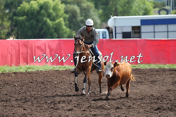 NimmitabelCampdraft2015_1140