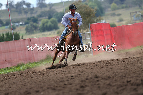 NimmitabelCampdraft2015_1601