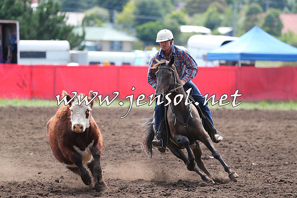 NimmitabelCampdraft2015_1165