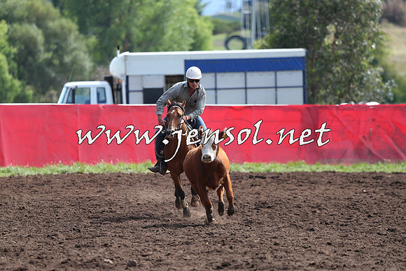 NimmitabelCampdraft2015_1137
