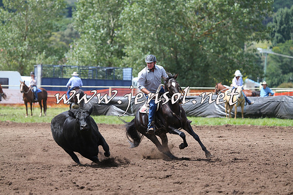 NimmitabelCampdraft2015_1498