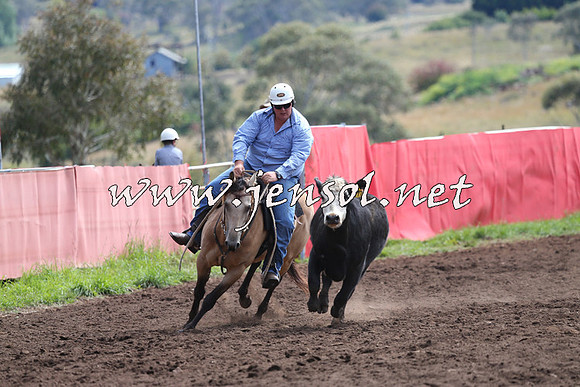 NimmitabelCampdraft2015_1200