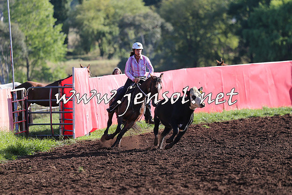 NimmitabelCampdraft2015_1066