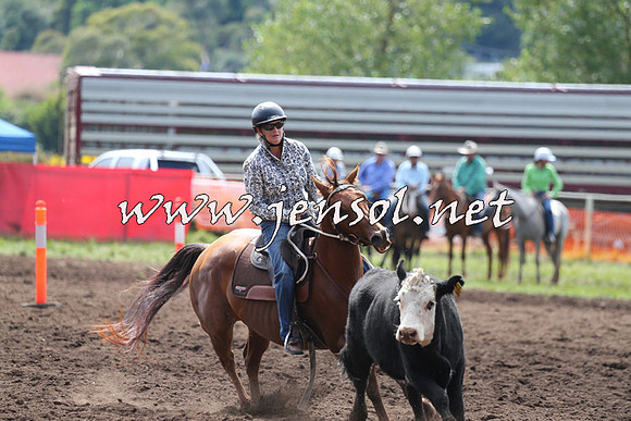 NimmitabelCampdraft2015_1181