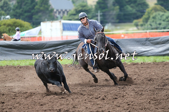 NimmitabelCampdraft2015_1265