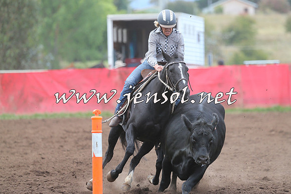 NimmitabelCampdraft2015_1637