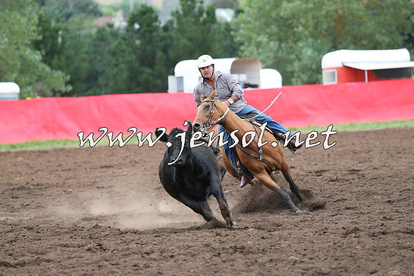 NimmitabelCampdraft2015_1713