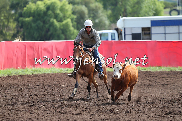 NimmitabelCampdraft2015_1142