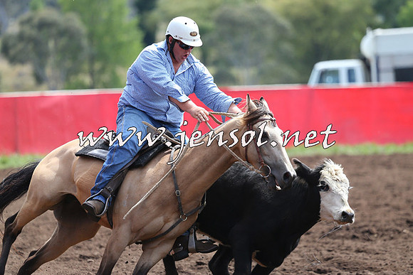 NimmitabelCampdraft2015_1211